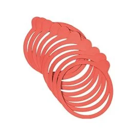 GUARNIZIONE MM.80 074 10 PZ