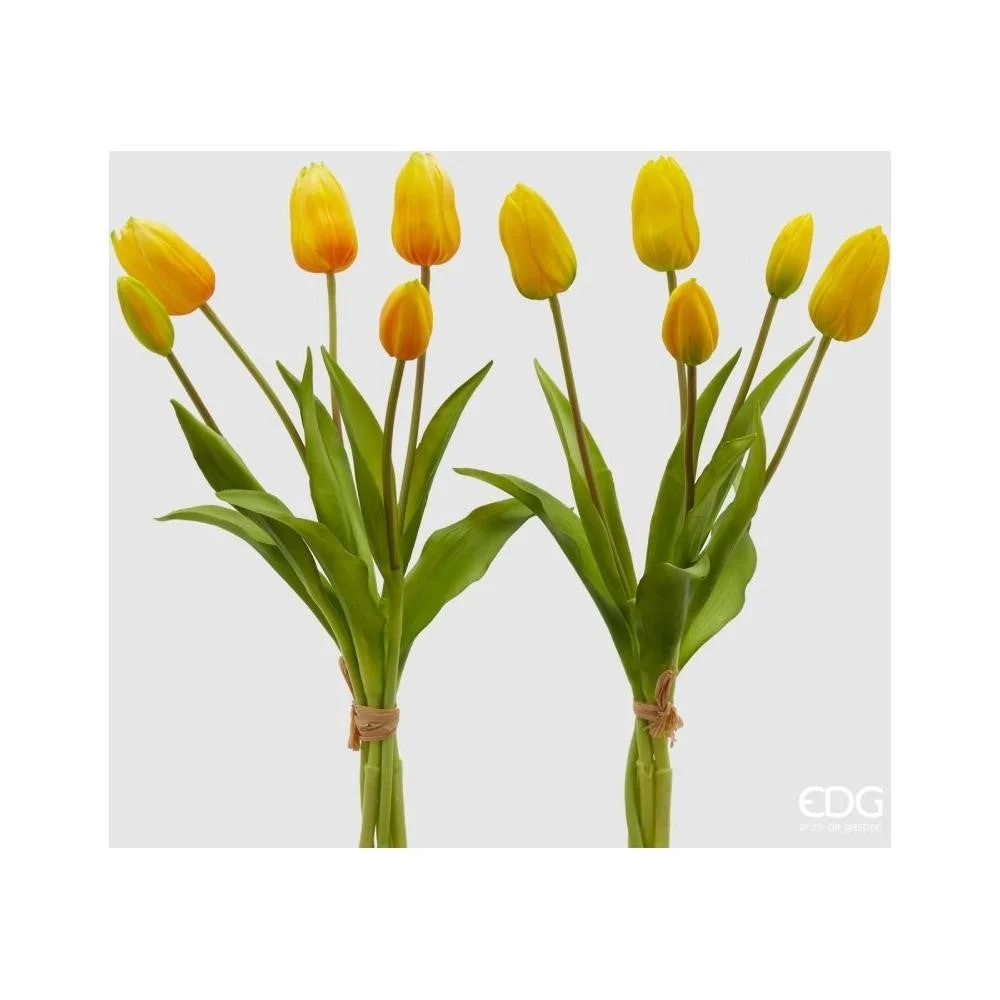 EDG Enzo De Gasperi Bouquet di 5 Tulipani Olis Ass. H 40 Cm Yellow 1 Pz