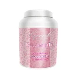 DOLCEMENTE INFUSO ALLA FRUTTA I DOLCI FRUTTI GR 100