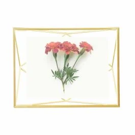 PRISMA CORNICE PORTAFOTO 10X15 ORO