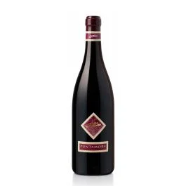 GIBE LAMBRUSCO GRASPAROSSA DI CASTELVETRO DOC 0,75 LT