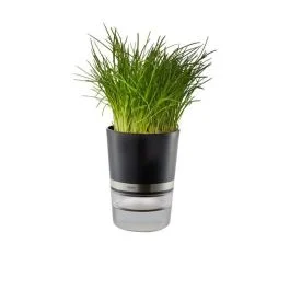 VASO PER ERBE RESINA INOX BOTANICO 18920