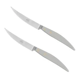 POLICROMIA COLTELLO DA TAVOLA MANICO IN METACRILATO GRIGIO CHIARO CONFEZIONE 2 P