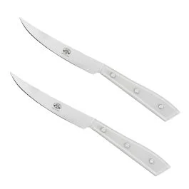 COMPENDIO COLTELLO DA TAVOLA FORGIATO MANICO IN METACRILATO GHIACCIO CONF. 2 PZ
