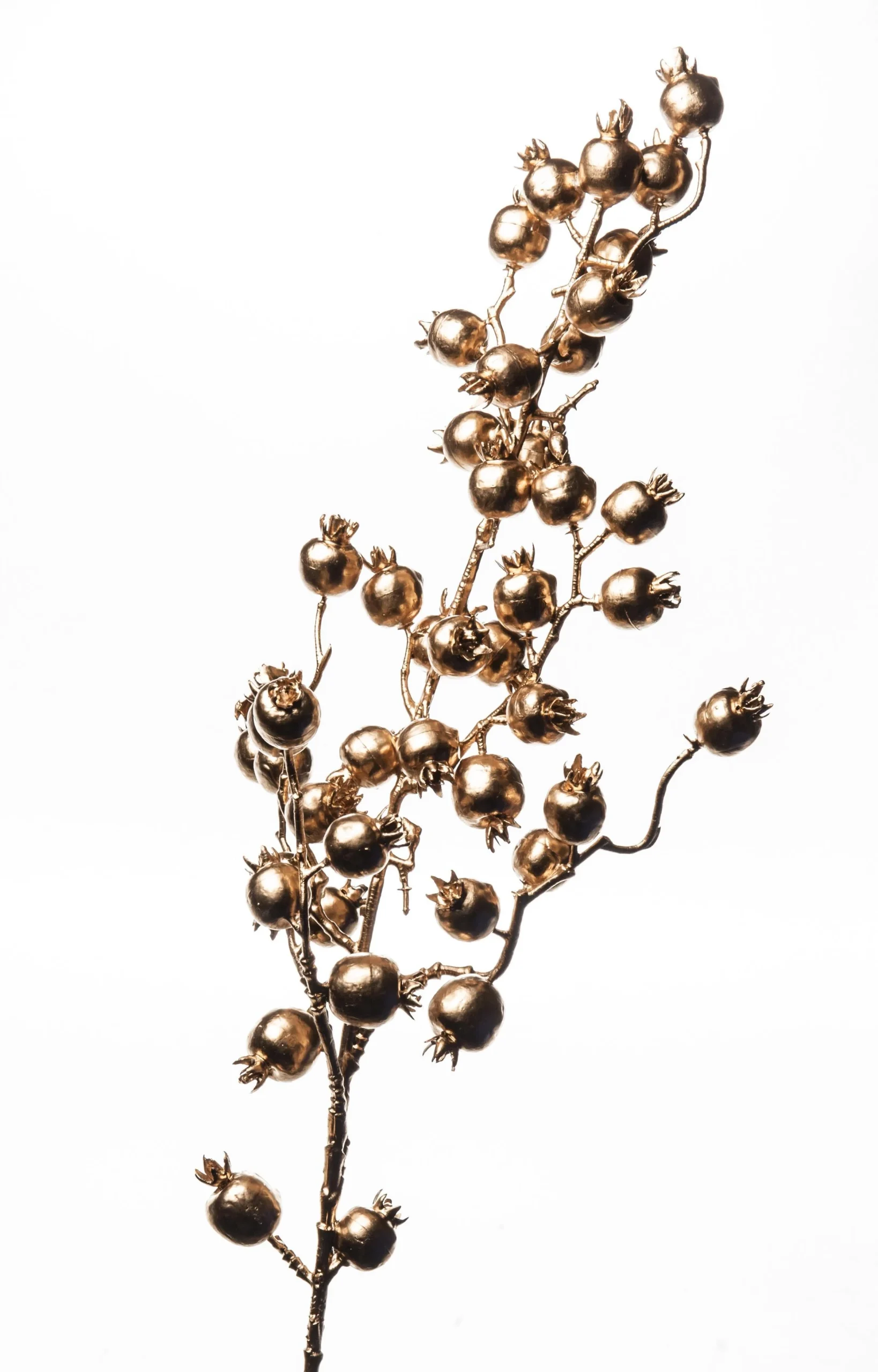 ARPIMEX Tralcio Natale Bacche 80 Cm Gold