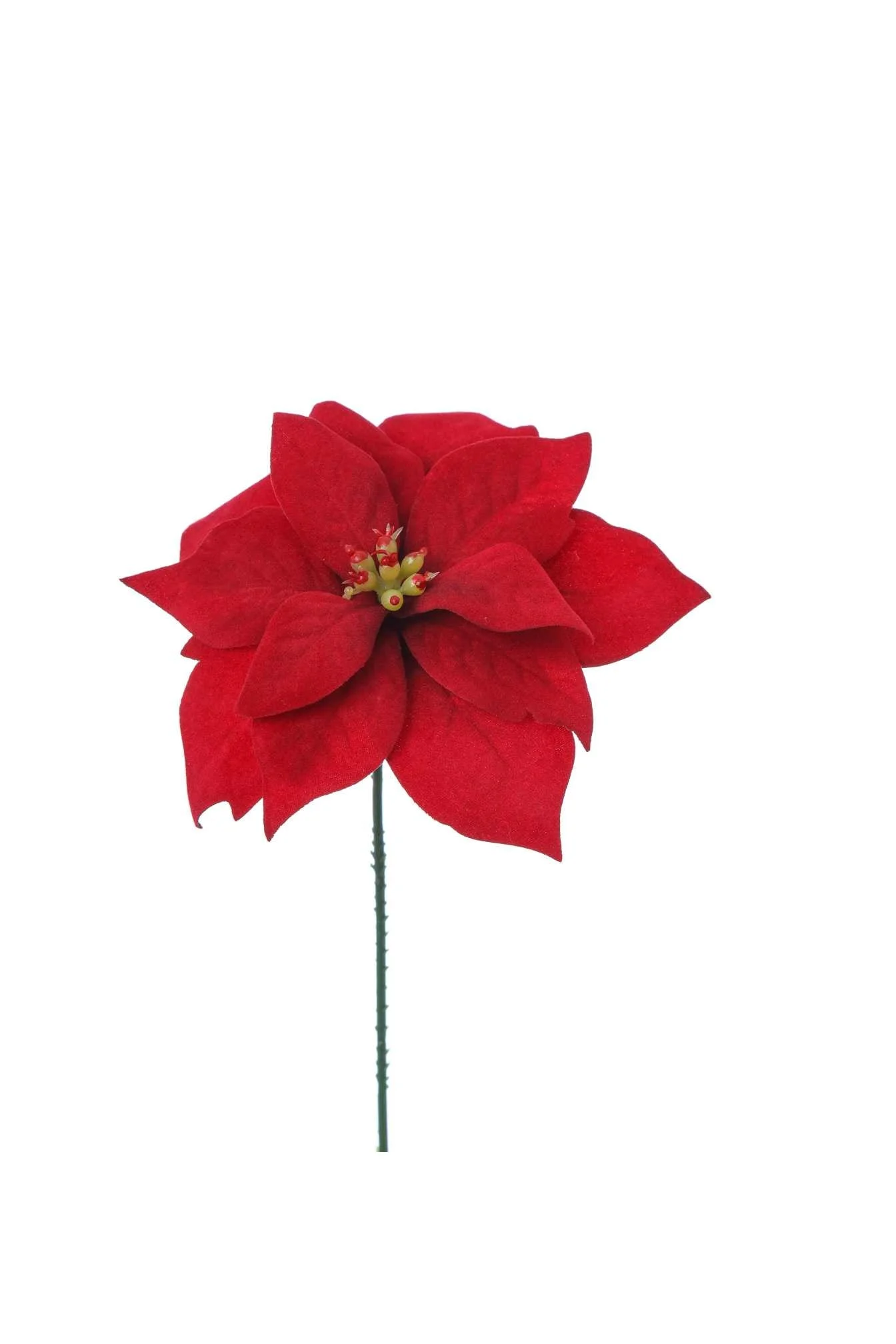 ARPIMEX Pick Natale Mini Stella di Natale H 18 Cm