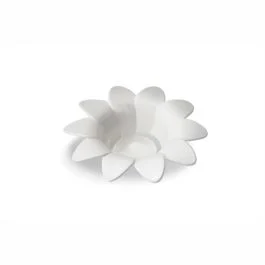 DAISY SEPARATORE PER UOVA