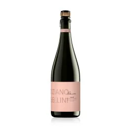 SPUMANTE METODO CLASSICO ROSE' PAION 2022 0,75 LT