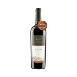 VIGNA MAGRINI ROSSO ALTO MINCIO IGT 2020 0,75 LT