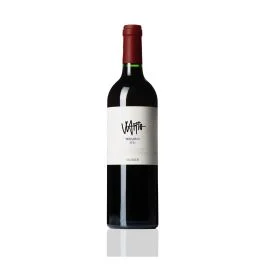 TEROLDEGO VIGNETI DELLE DOLOMITI IGT 0,75 LT
