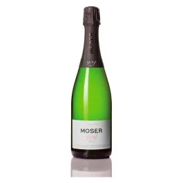 TRENTO DOC BRUT 51,151 2020 0,75 LT