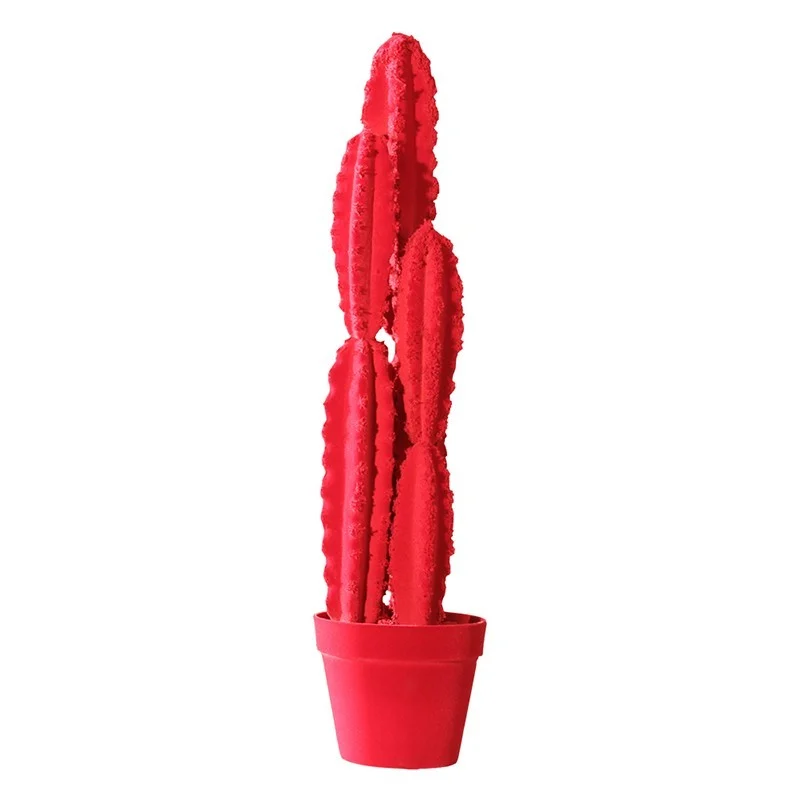 Complemento d'arredo Cactus 66 Adriani e Rossi