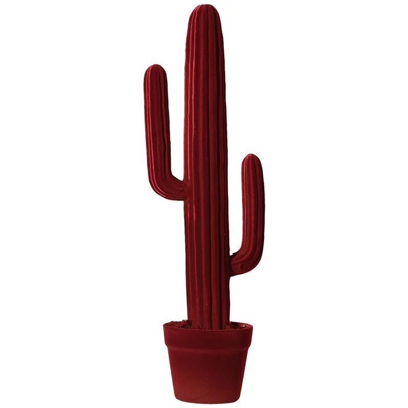 Complemento d'arredo Cactus 68 Adriani e Rossi