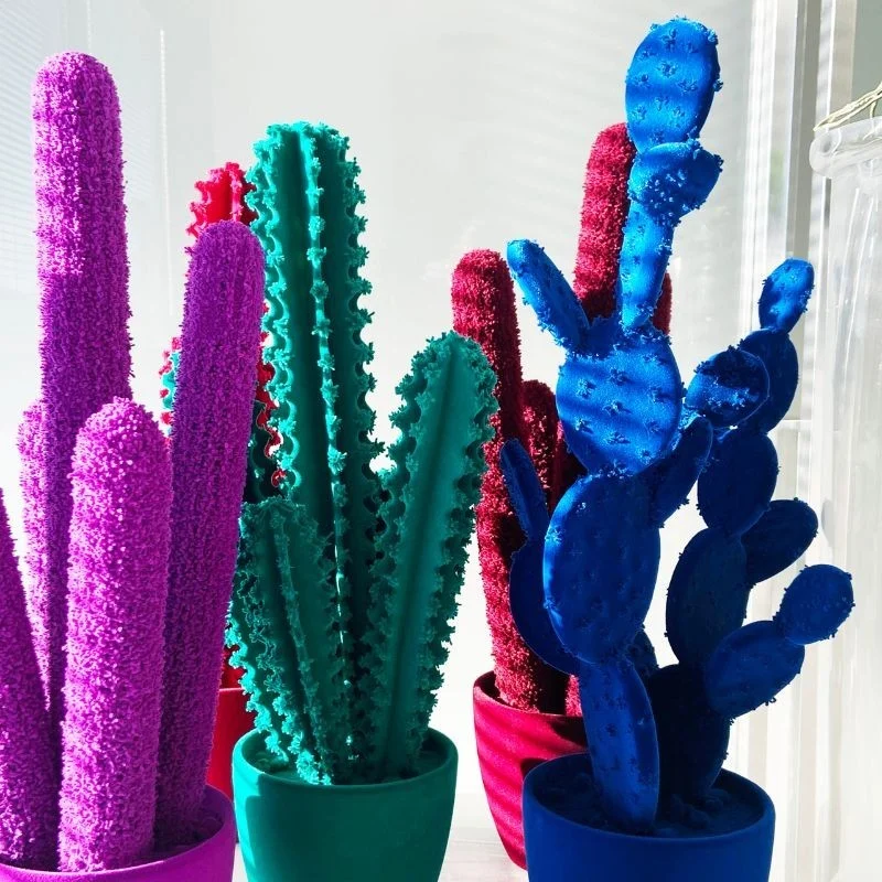 Complemento d'arredo Pickly Cactus Adriani e Rossi