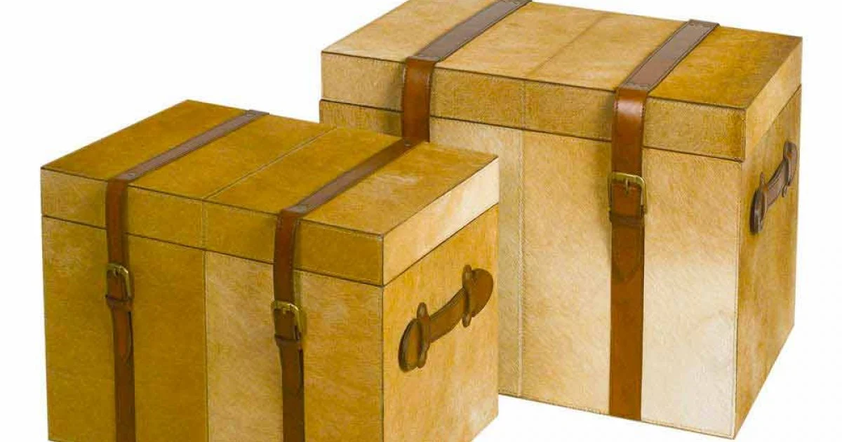 2 bauli design moderno in cavallino marrone chiaro Deii