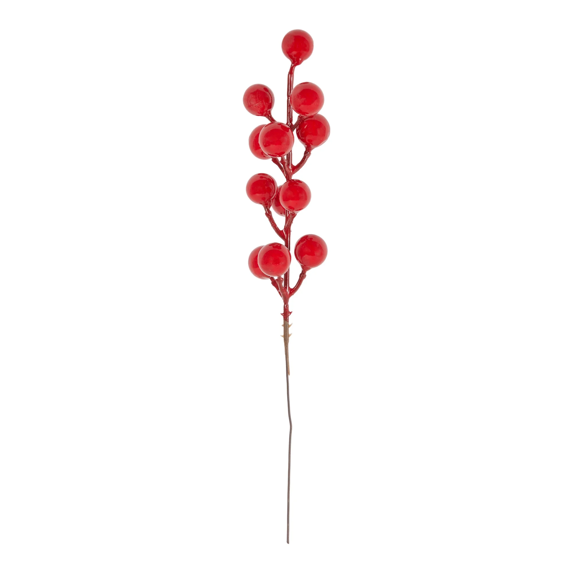 ARPIMEX Bag Natale 24 Bacche H 20 Cm Rosso