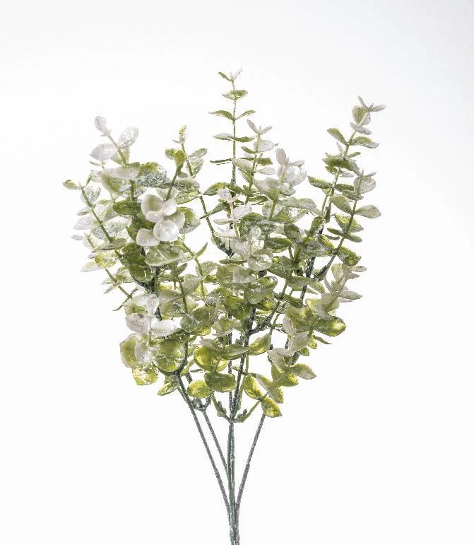 ARPIMEX Bush Eucalipto Natale Glitterato Verde