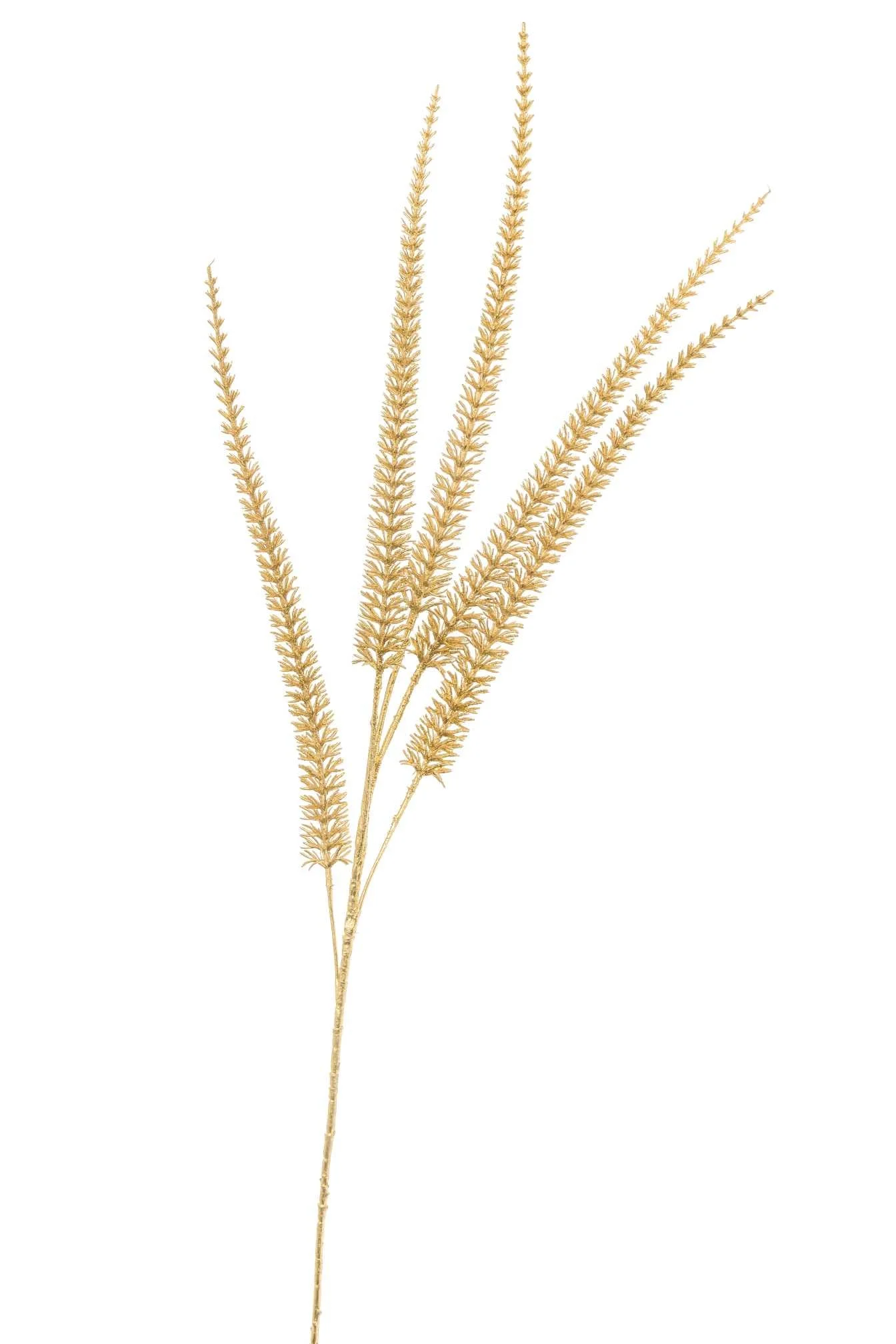ARPIMEX Coda Di Volpe con 5 Rami 86,5 Cm Gold