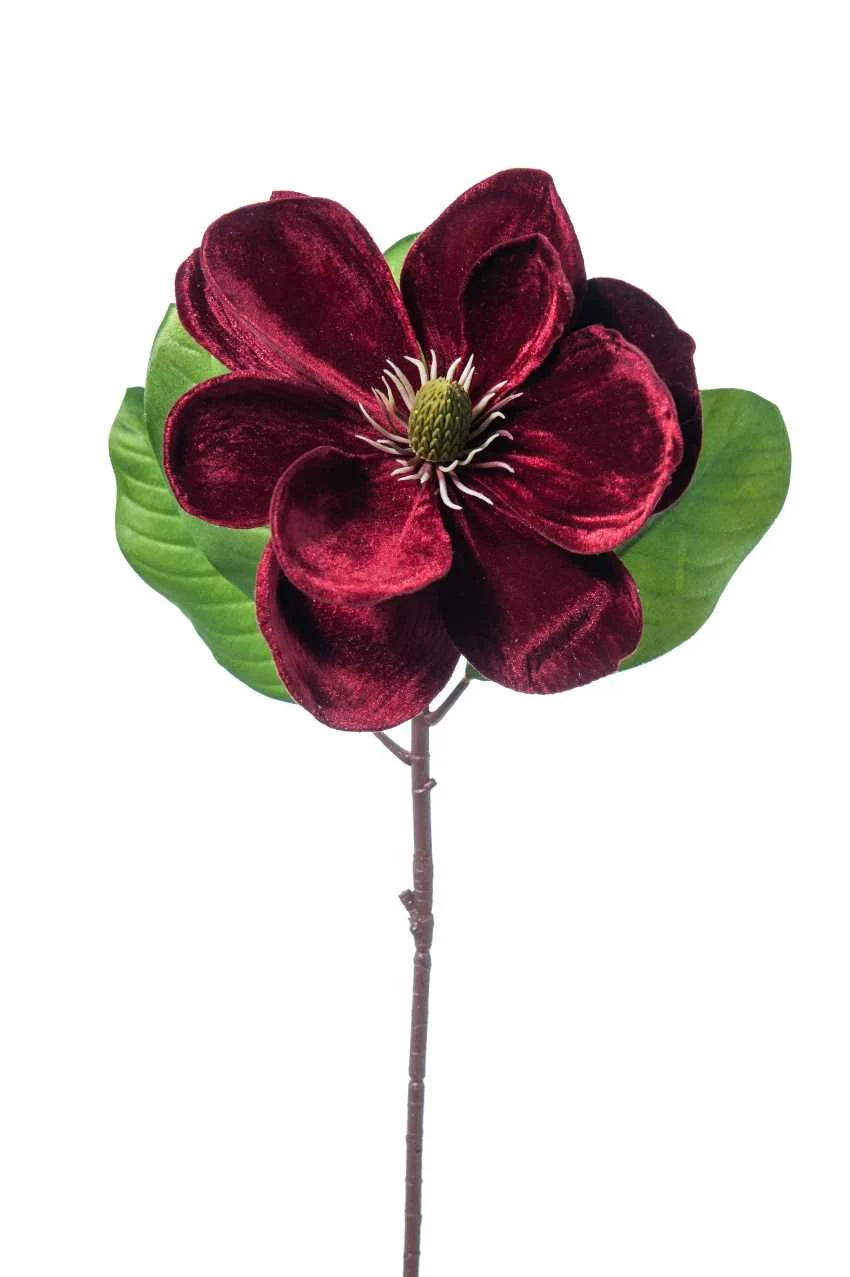 ARPIMEX Magnolia Natale Singola Deluxe Velvet 62 Cm Burgundy