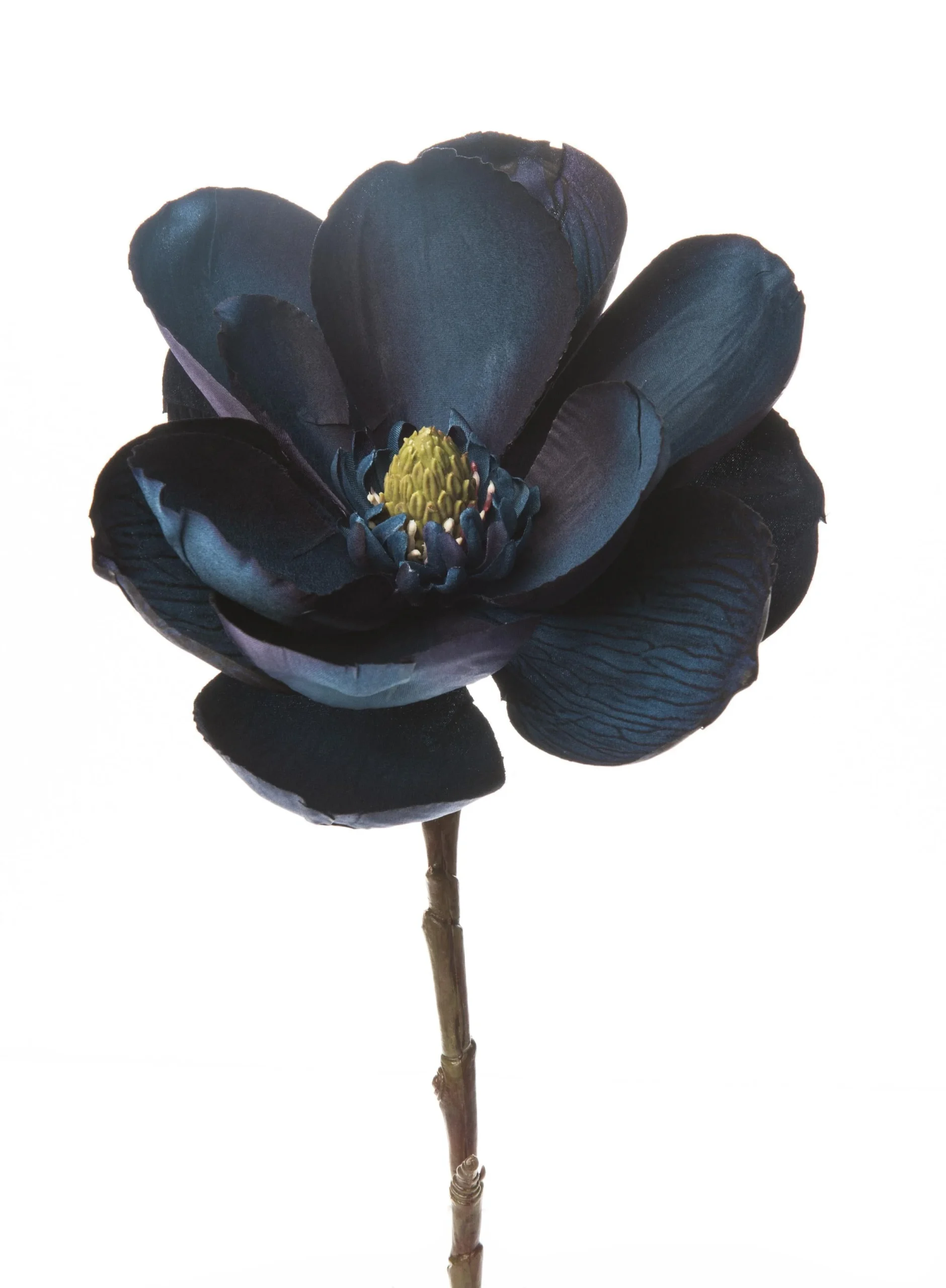 ARPIMEX Pick Natale Magnolia Blu