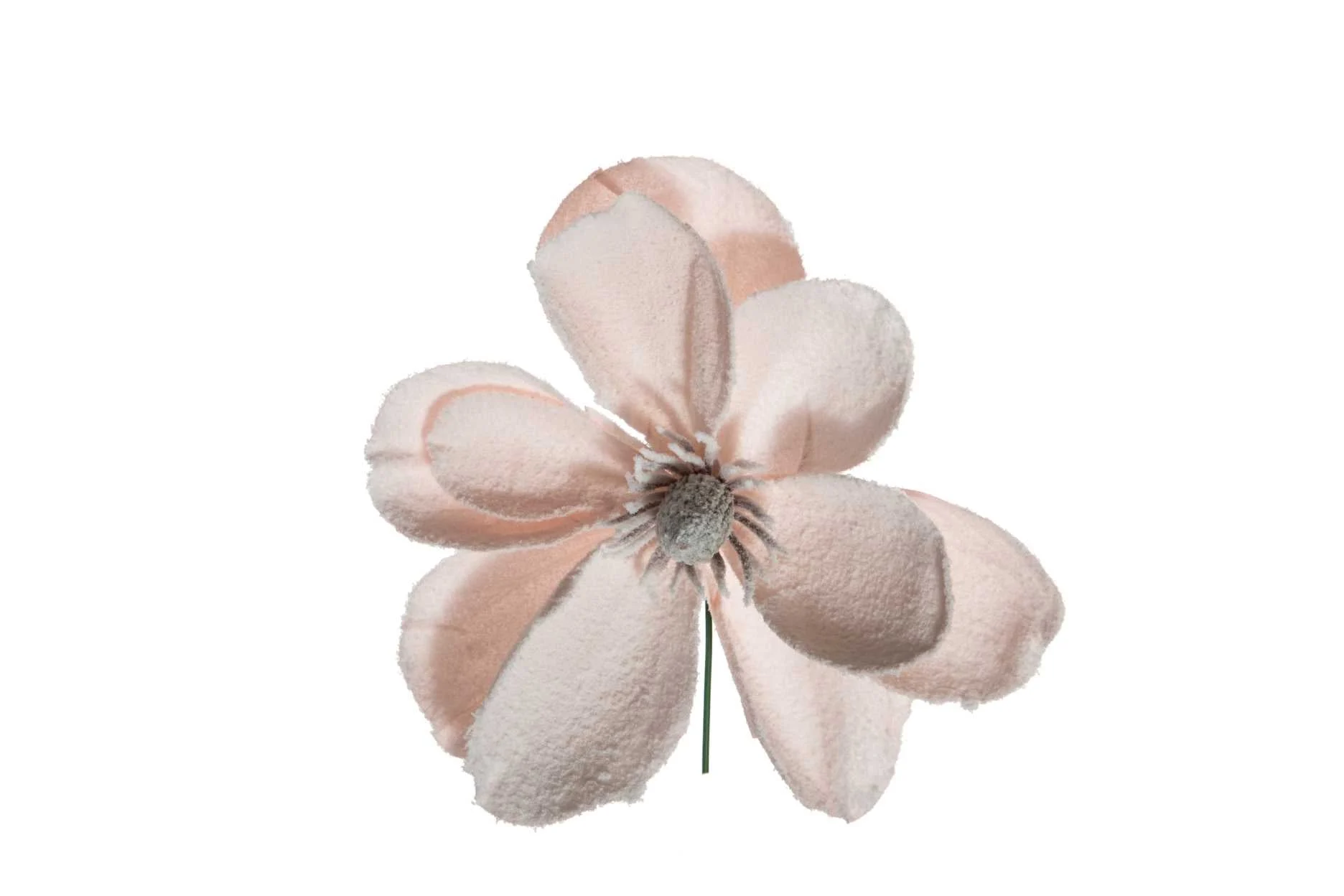 ARPIMEX Pick Natale Magnolia Innevata 24 Cm Cipria