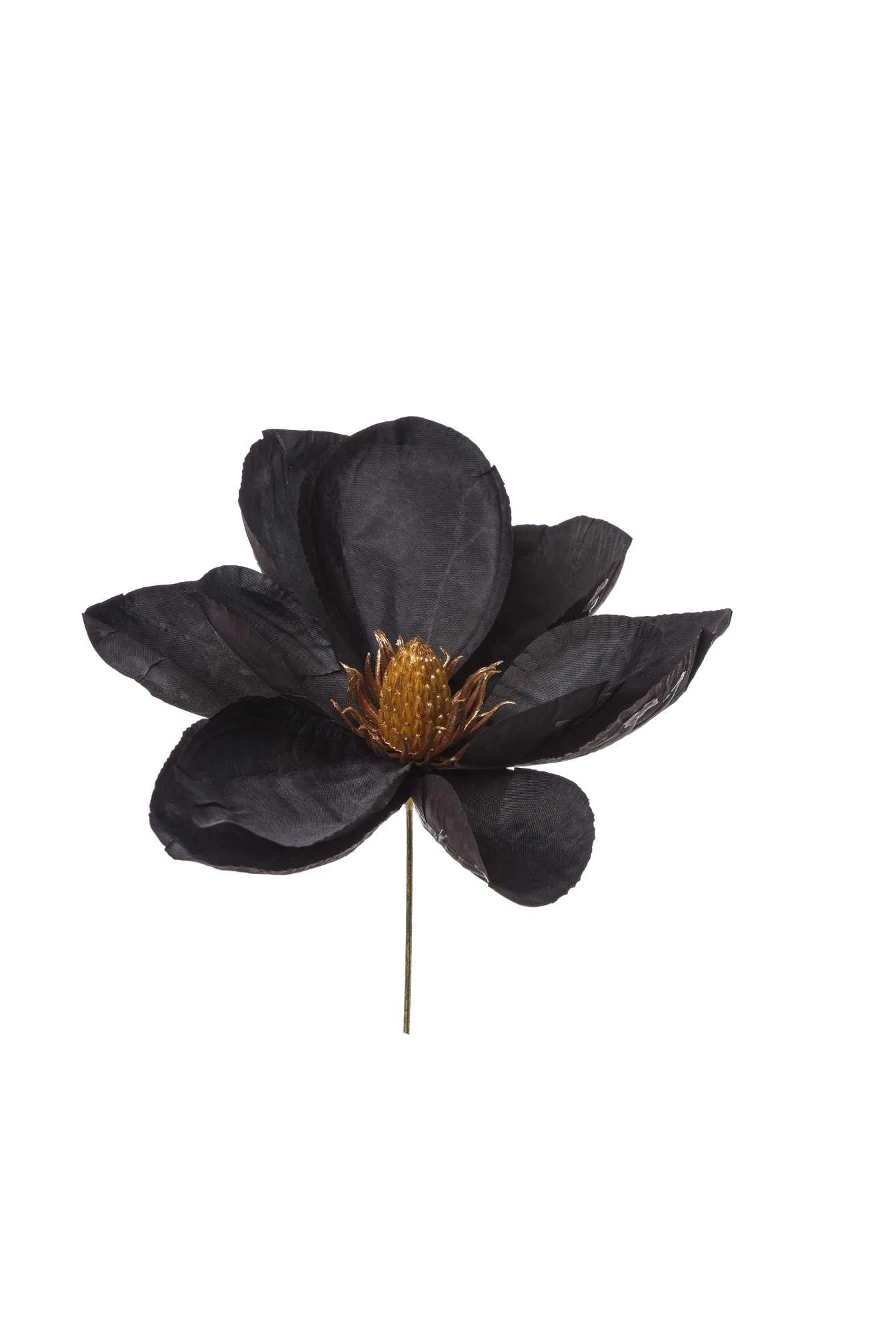 ARPIMEX Pick Magnolia Nera