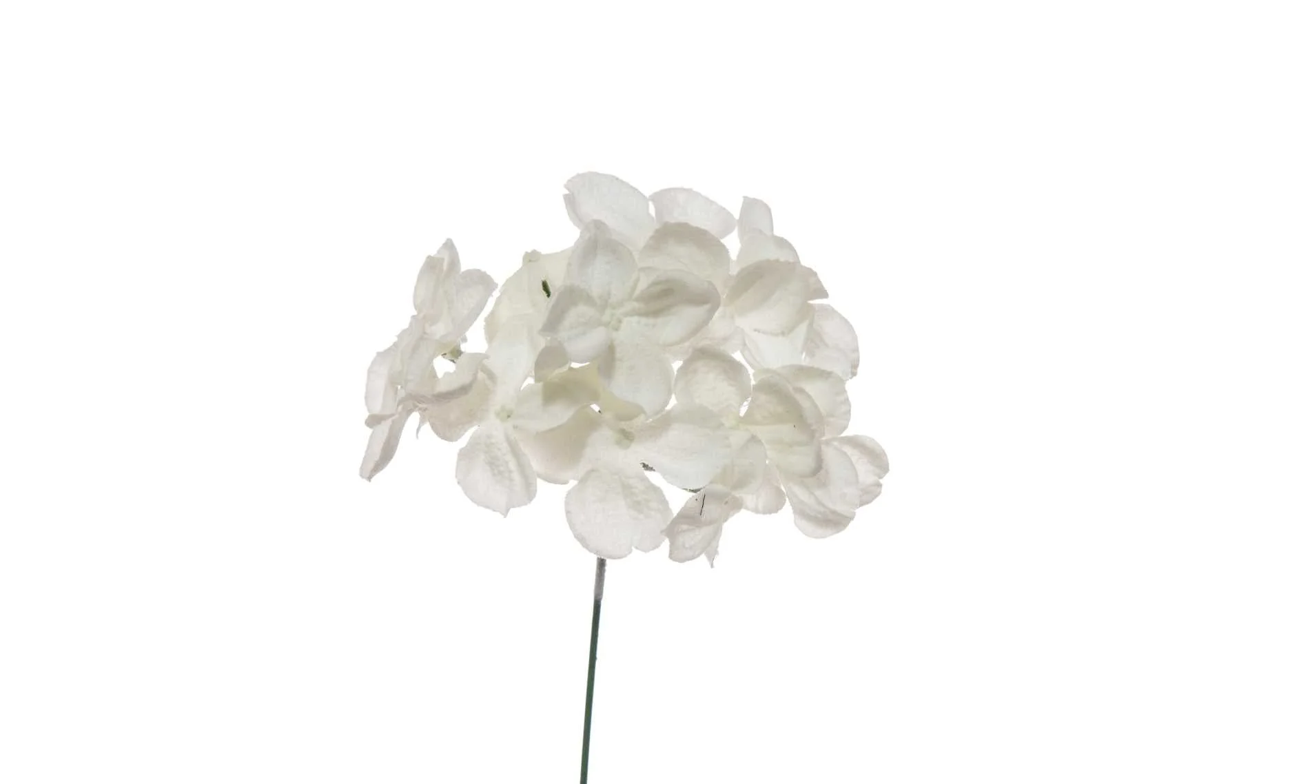 ARPIMEX Pick Ortensia Innevata 19 Cm Bianca