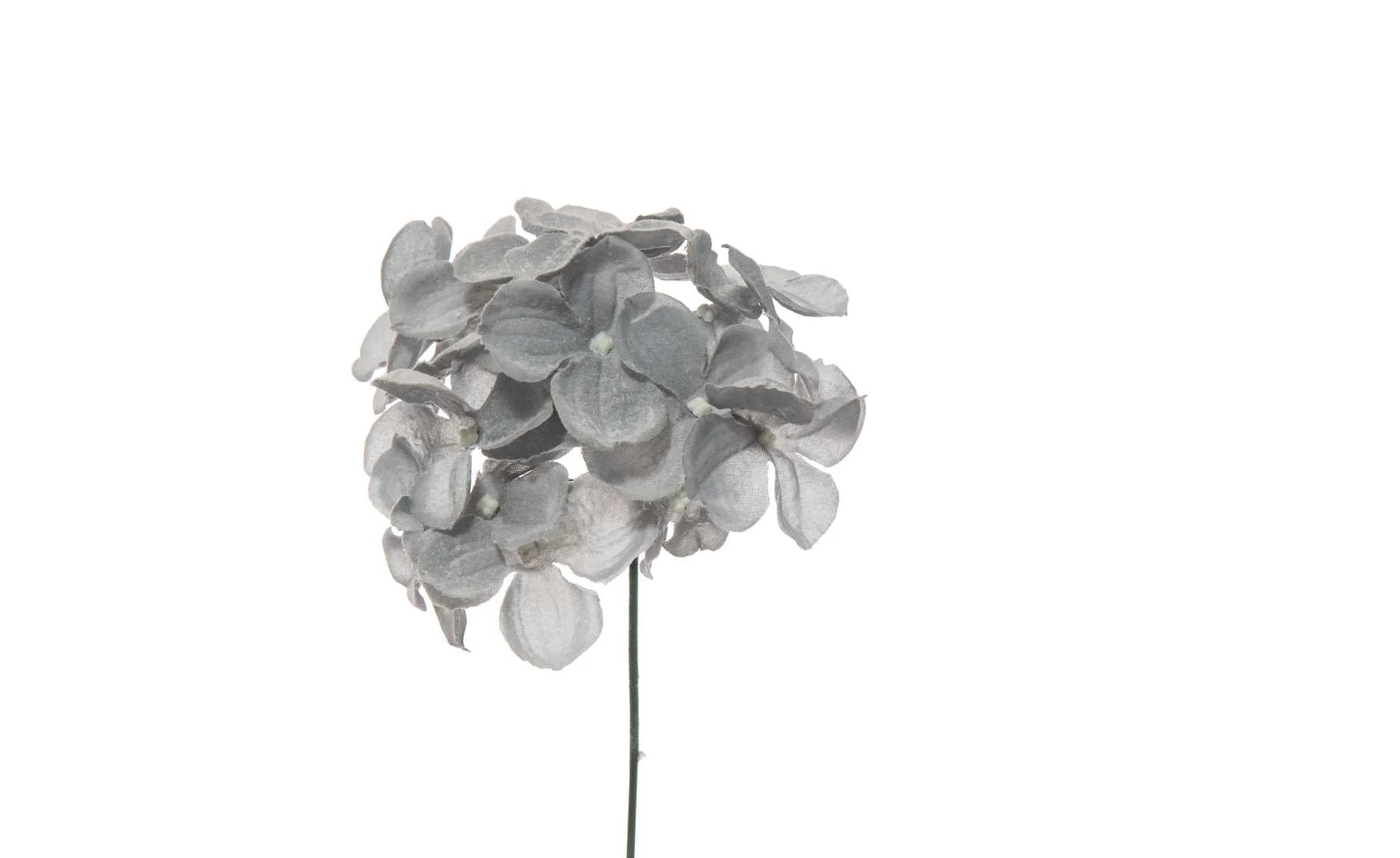 ARPIMEX Pick Ortensia Innevata 19 Cm Blu