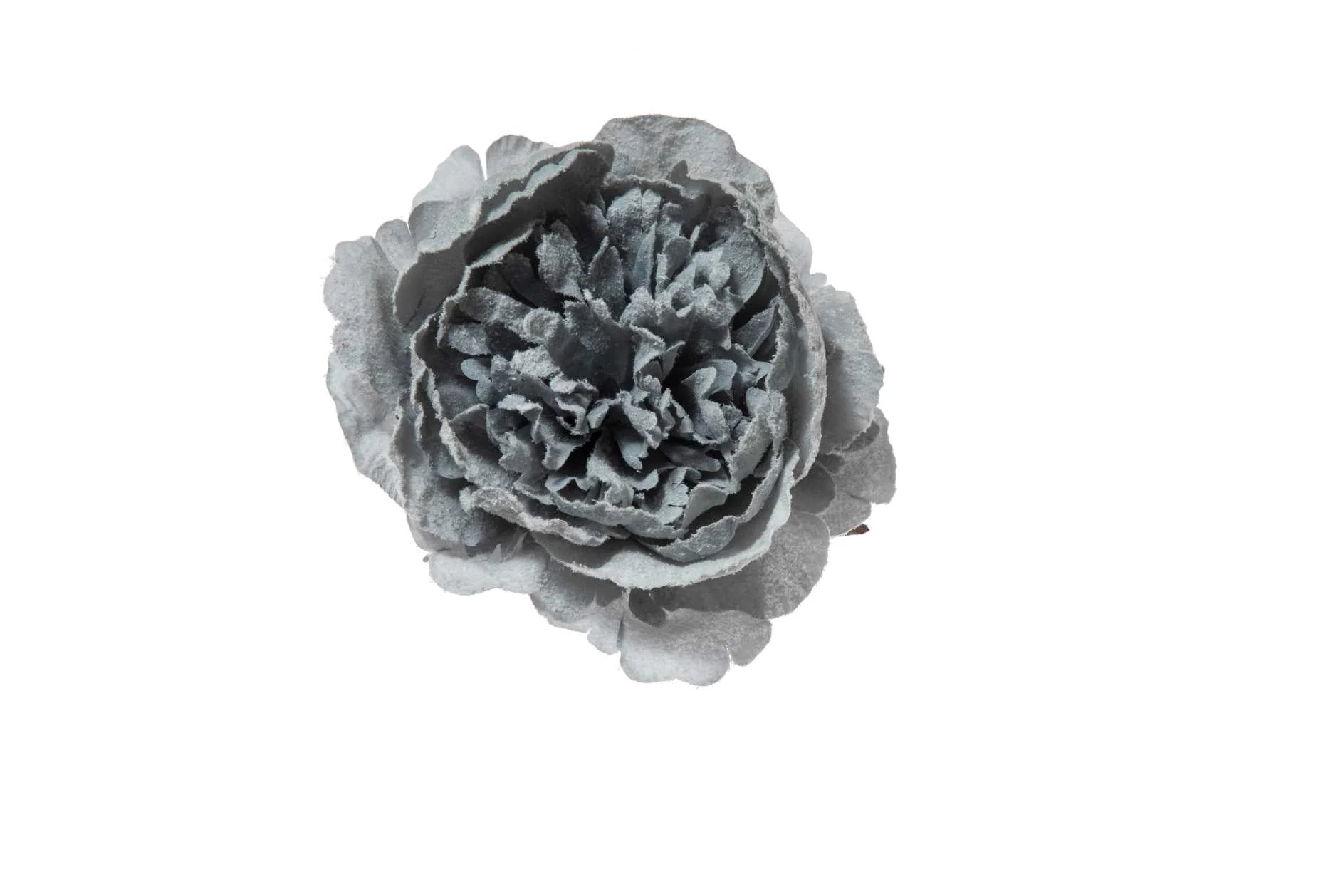 ARPIMEX Pick Peonia Innevata 23 Cm Blu