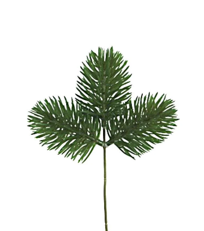 ARPIMEX Rametto Natale Pino 20 Cm Verde