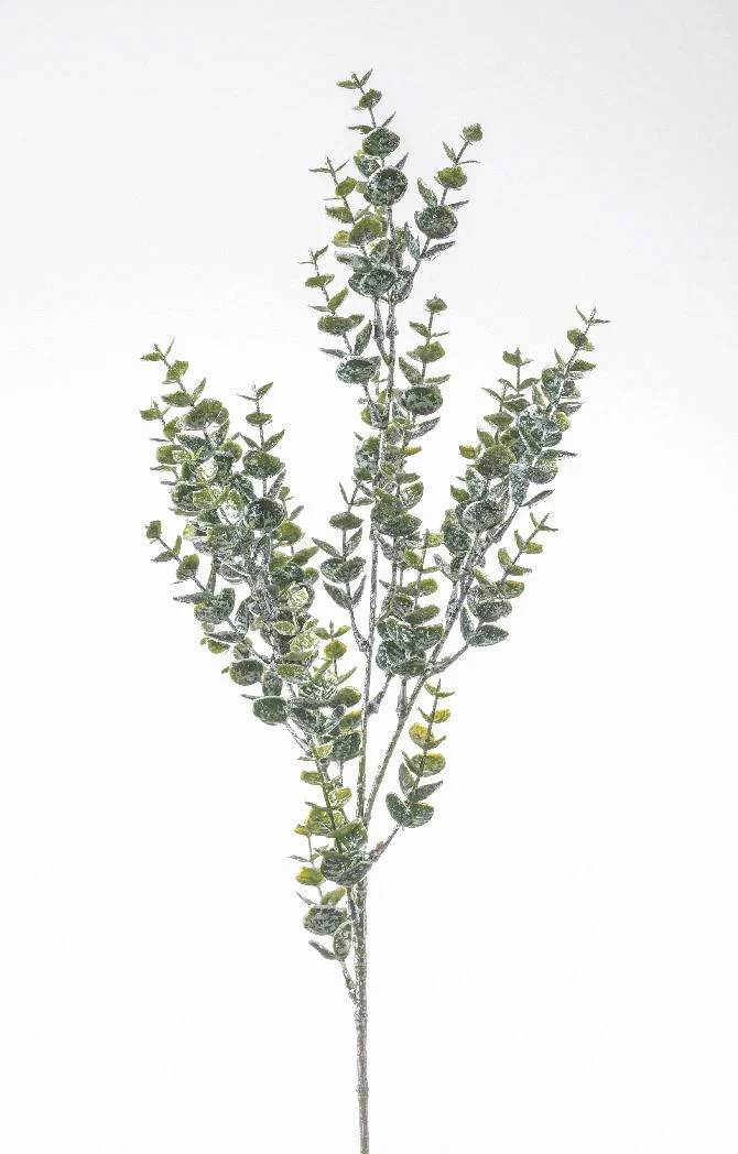 ARPIMEX Ramo Natale Eucalipto Innevato 71 Cm Verde
