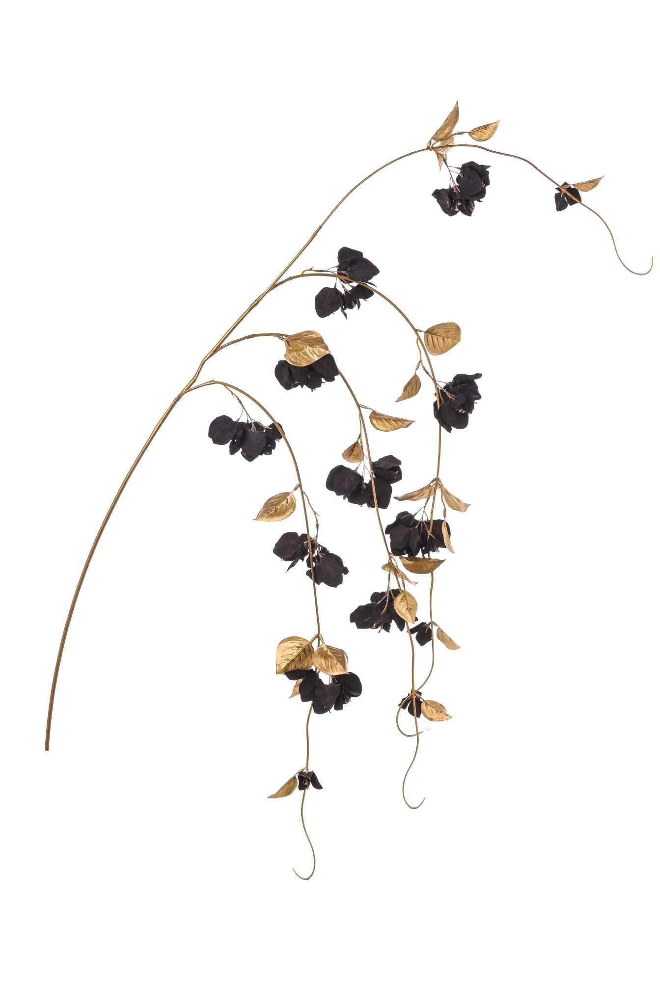 ARPIMEX Tralcio Bouganvillea H 155 Cm Nero