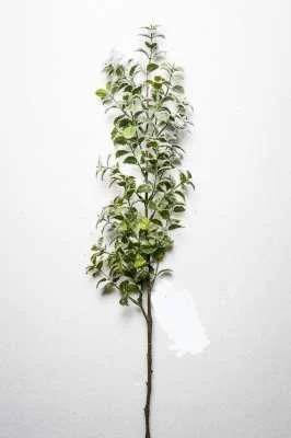 ARPIMEX Tralcio Tea Leaf Innevato