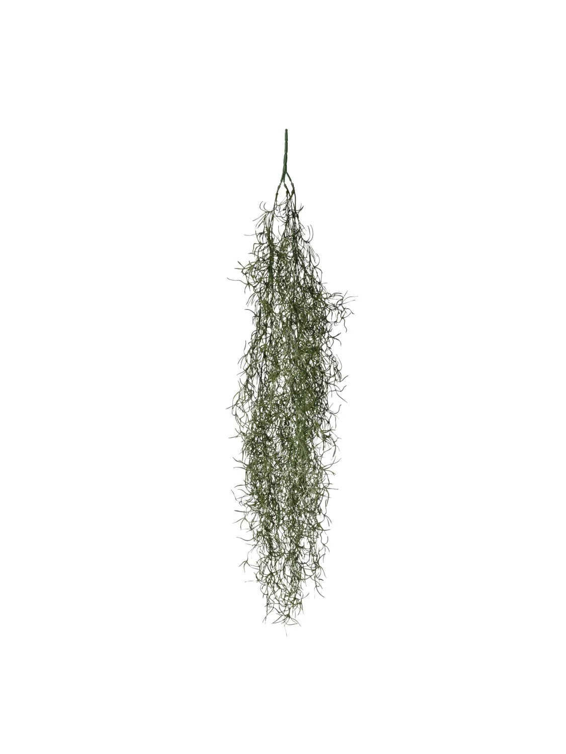 Conti Cadente Erba 92 Cm Green