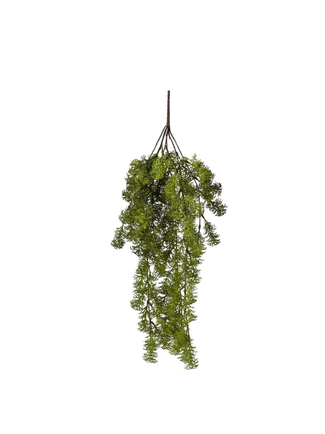 Conti Cadente Muschio 63 Cm Green