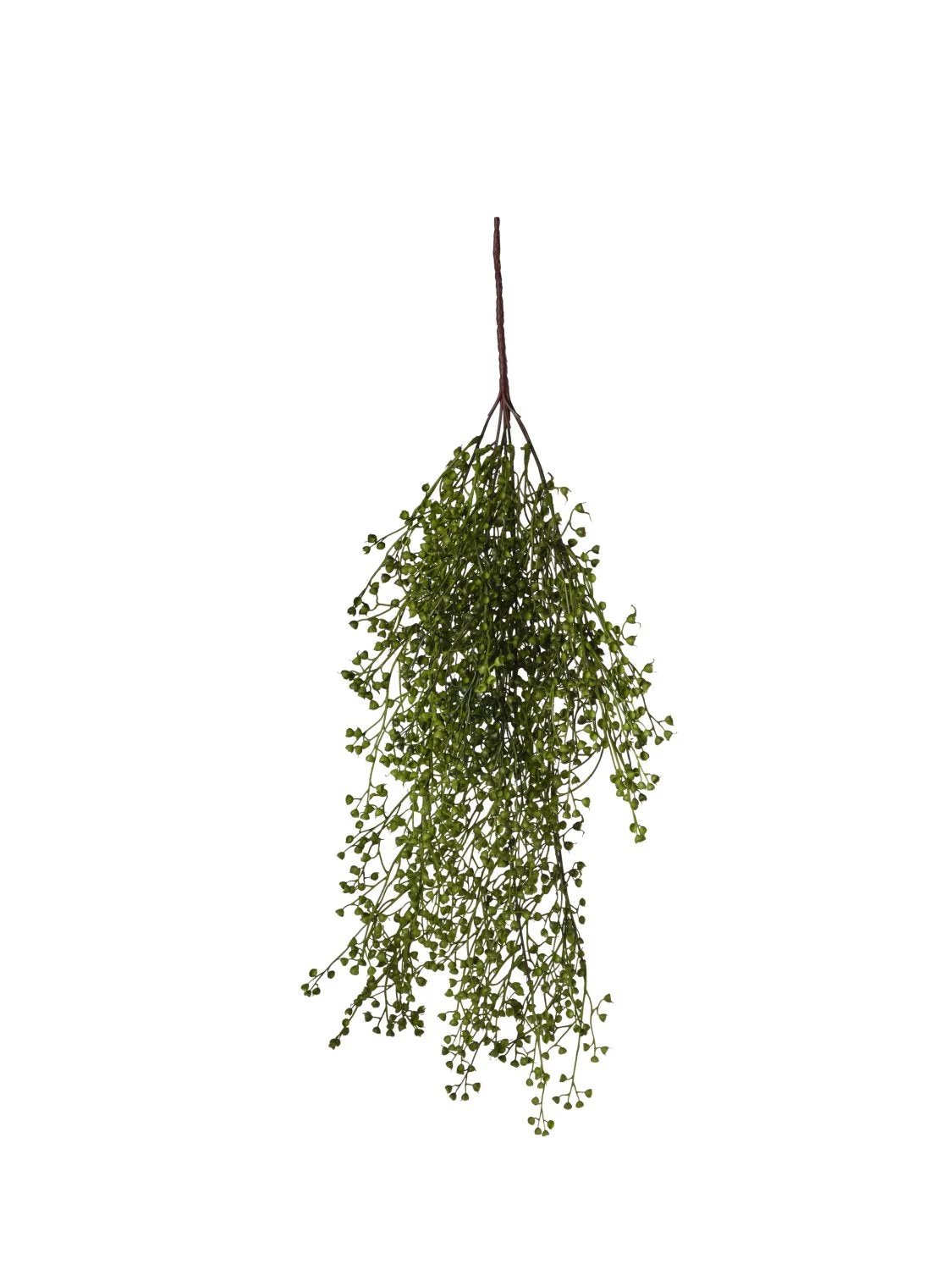 Conti Cadente Semini 68 Cm Green