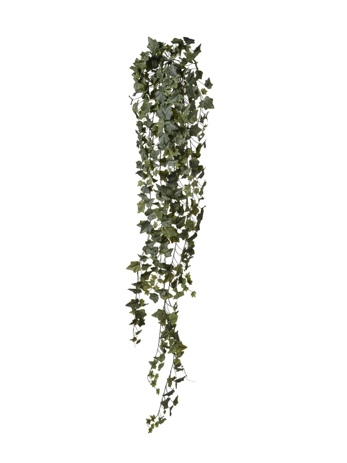 Conti Edera Cadente 423 Foglie L 180 Cm Frosted Green