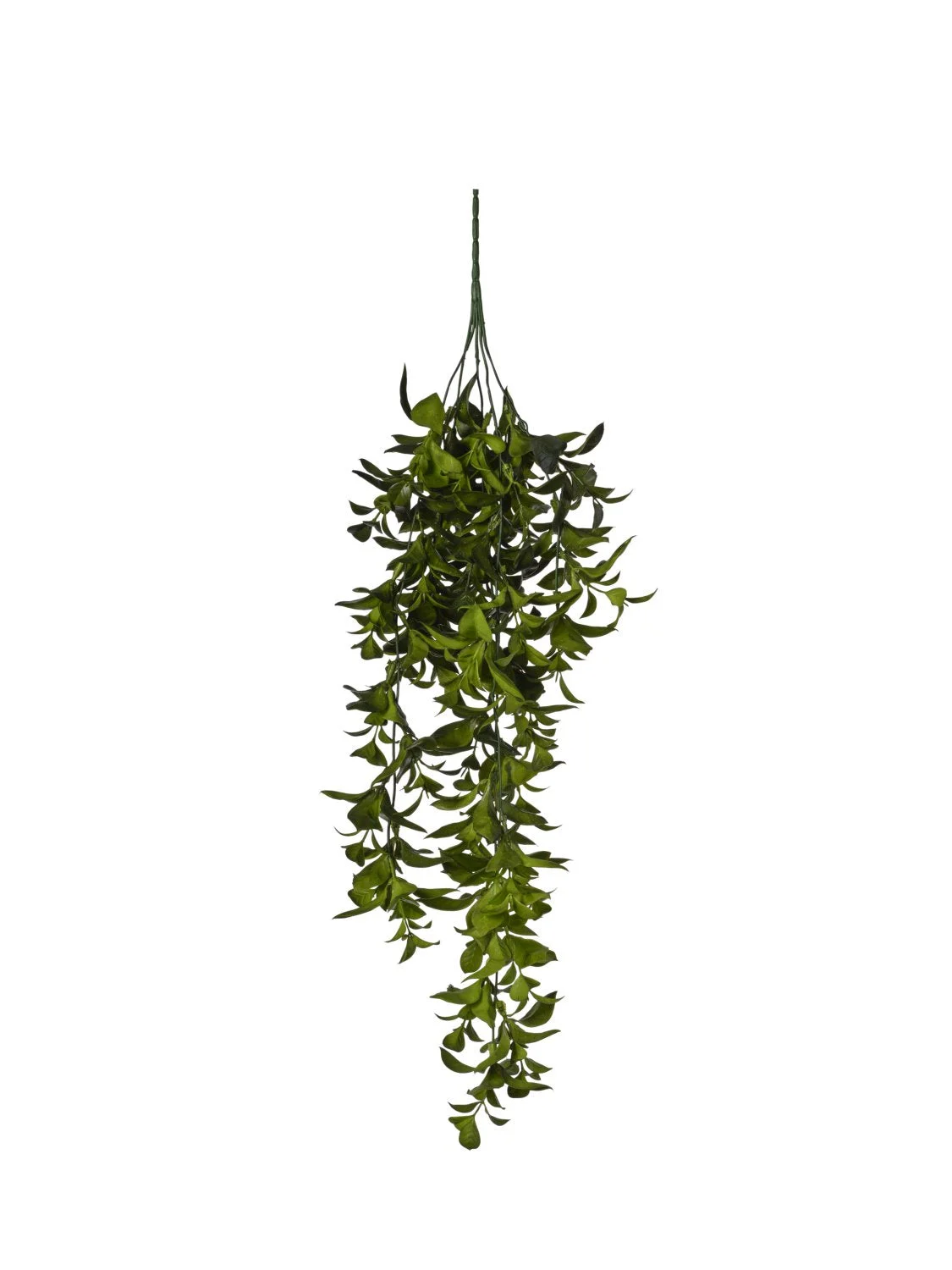 Conti Mazzo Cadente Foglioline 74 Cm Green