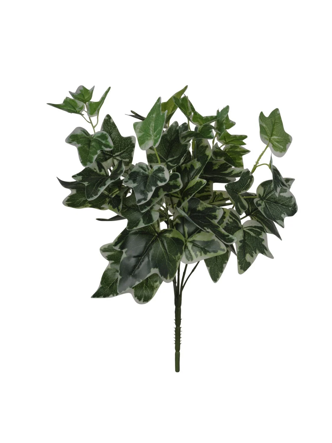 Conti Mazzo Edera H 42 Cm 50 Foglie 7 Rami Green White