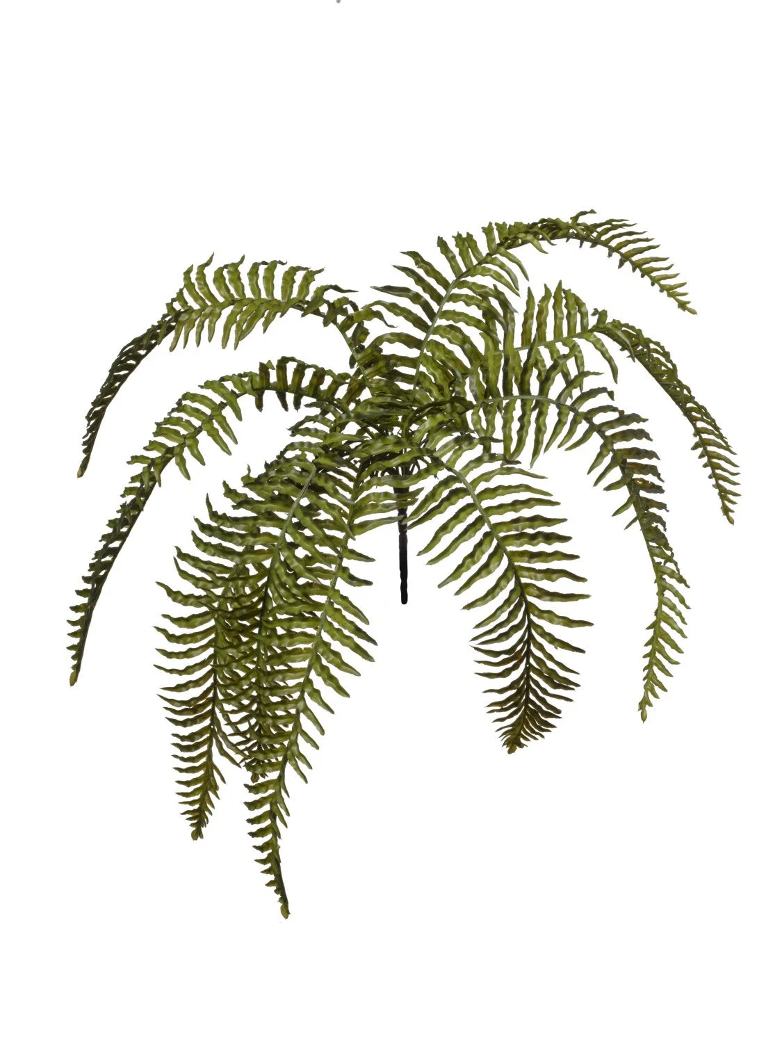 Conti Mazzo Felce 80 Cm  x 9 Rami Green