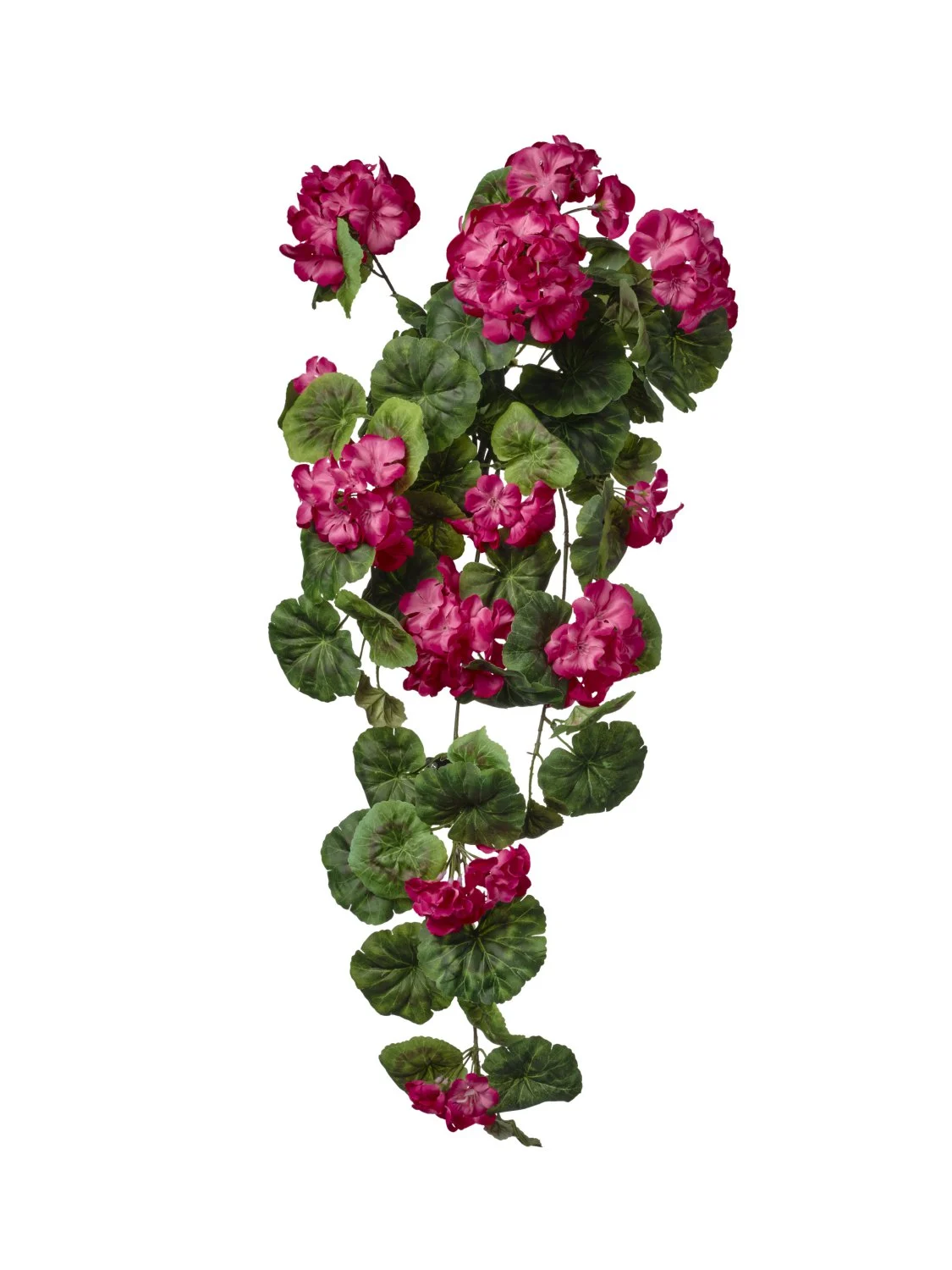 Conti Mazzo Geranio 33 x 70 Cm x 8 Rami Beauty