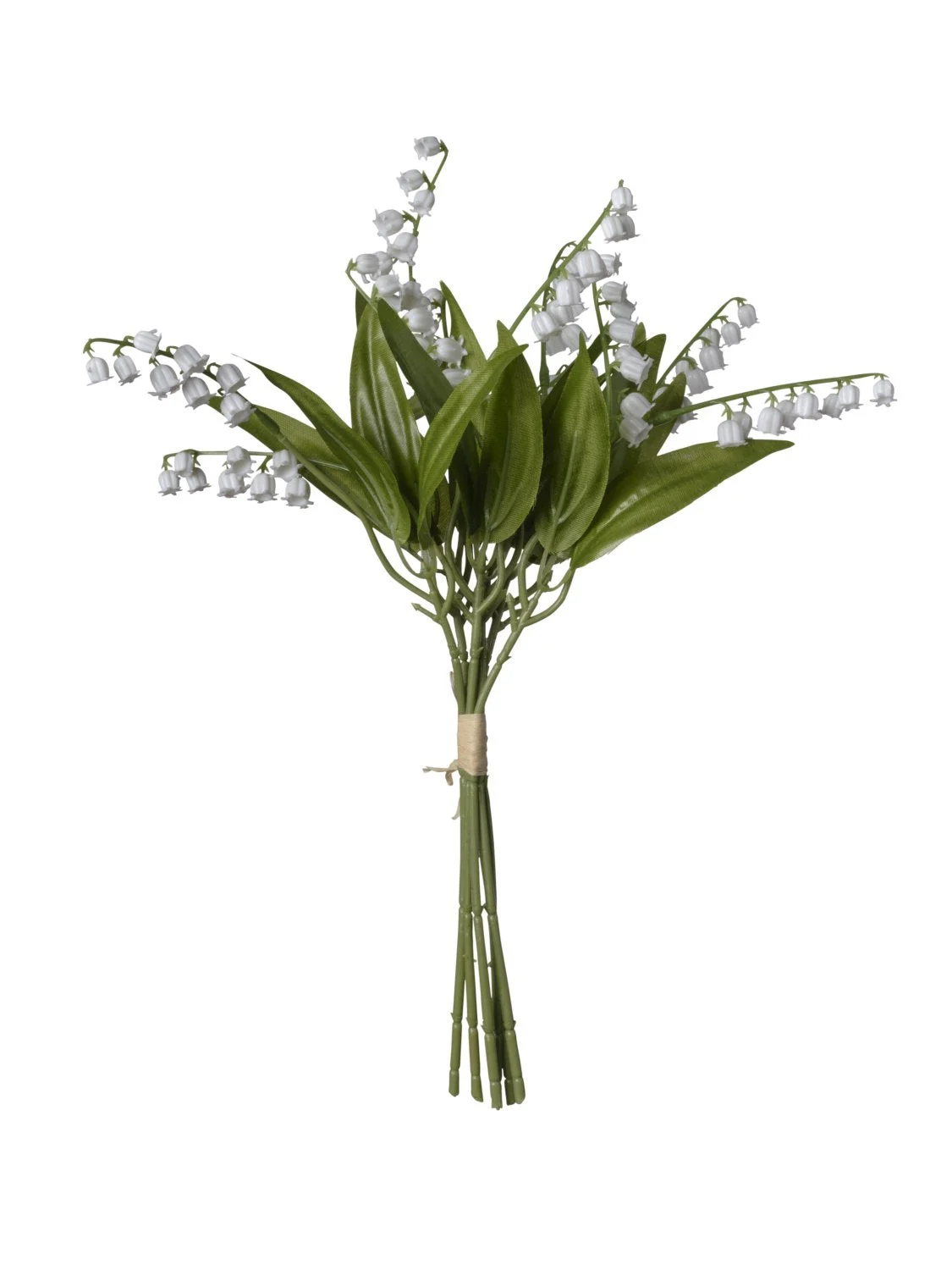 Conti Mazzo Mughetto H 38 Cm White