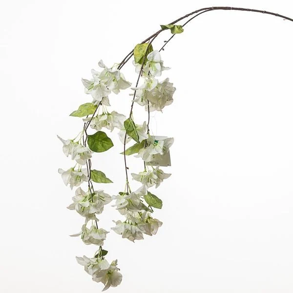 Conti Ramo Bouganvillea 150 Cm White