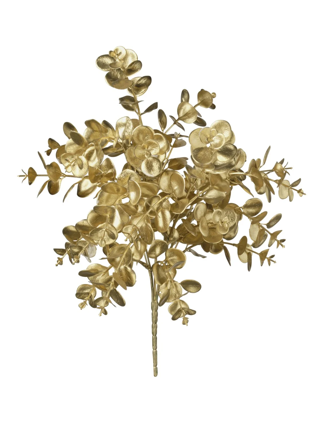 Conti Ramo Natale di Eucalipto H 36 Cm Oro