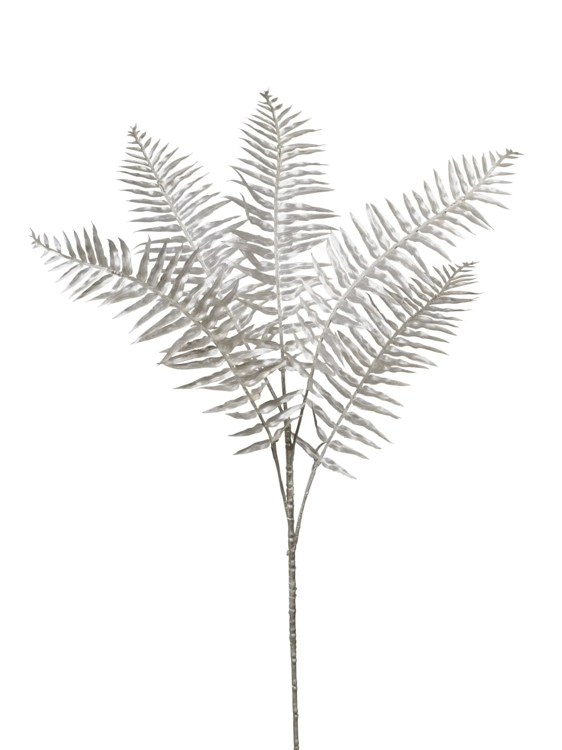 Conti Ramo Natale Felce H 80 Cm x 5 White