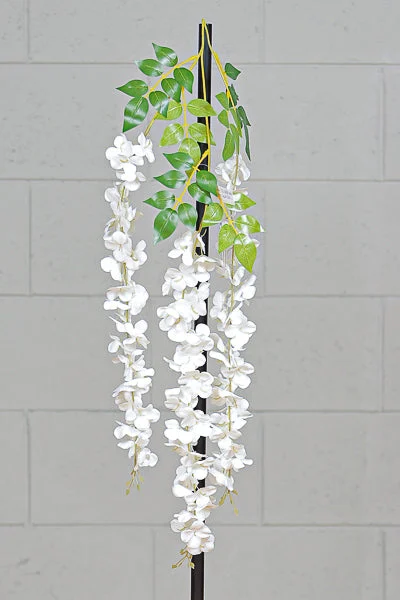 Conti Ramo Glicine 3 Fiori Polybag White