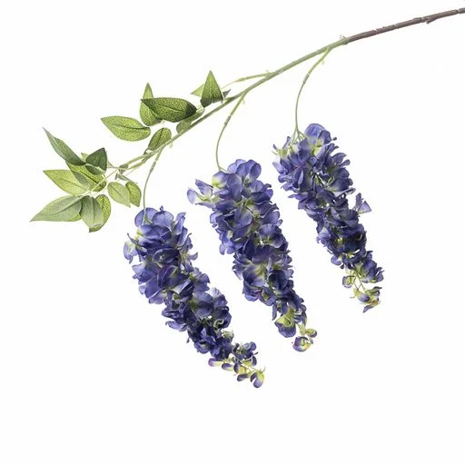 Conti Ramo Glicine 90 Cm Blue