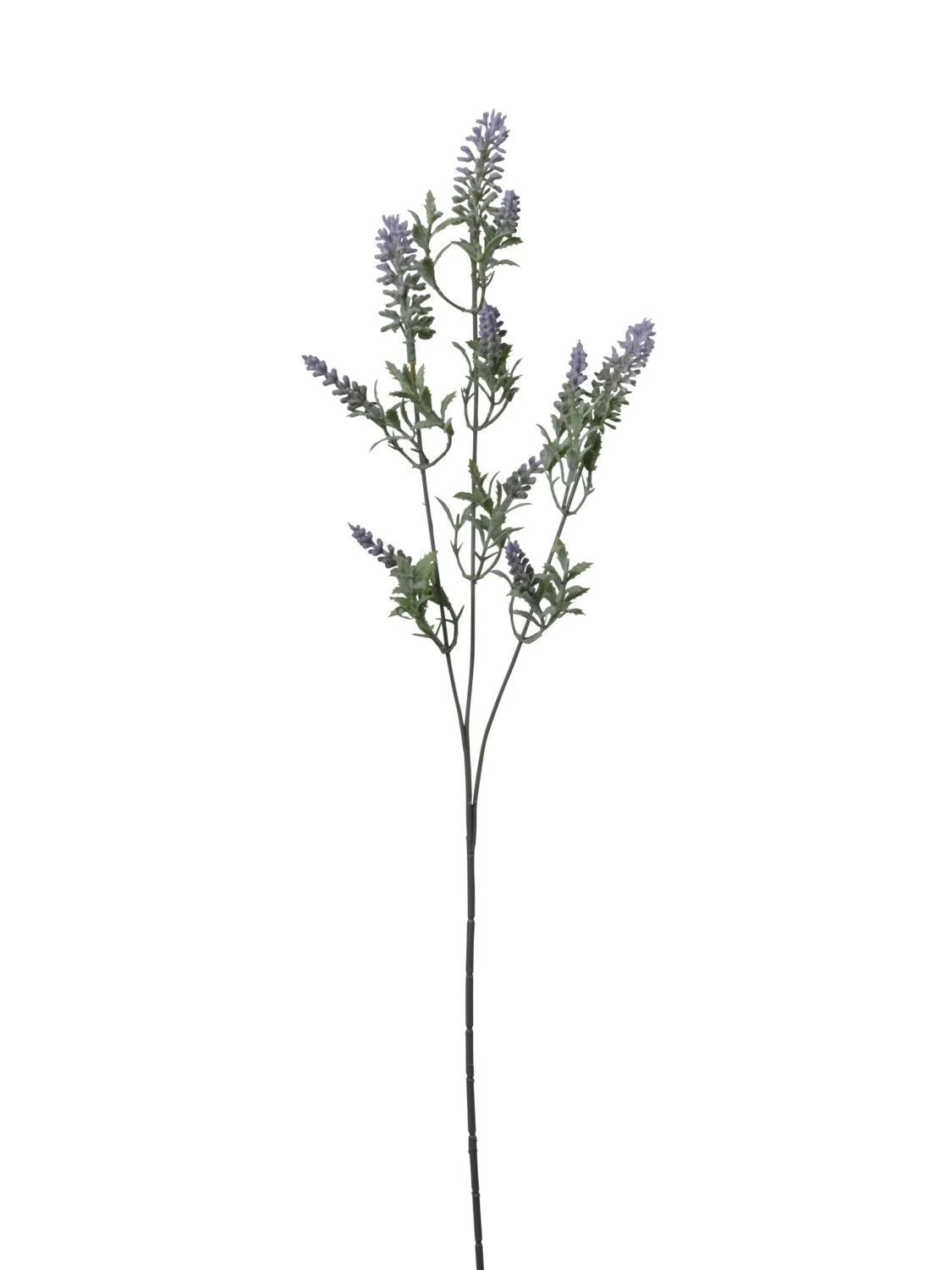 Conti Ramo Lavanda H 66 Cm x 3  Purple