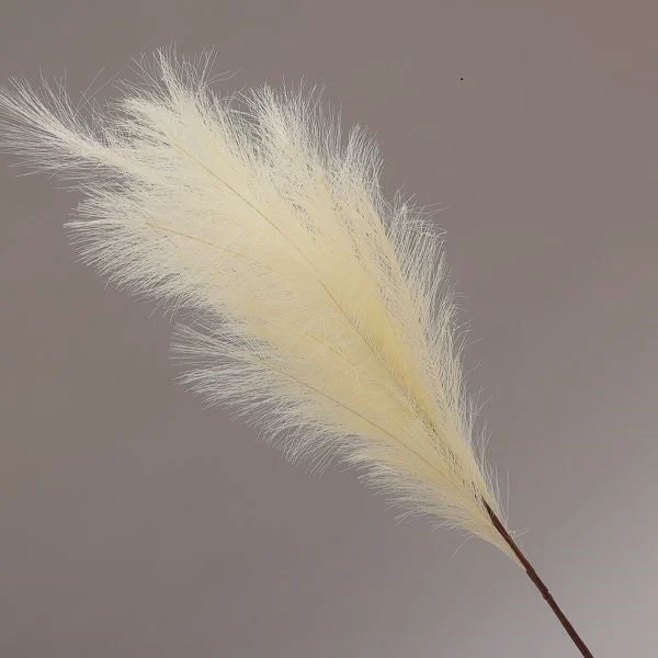 Conti Ramo Pampas 105 Cm Cream
