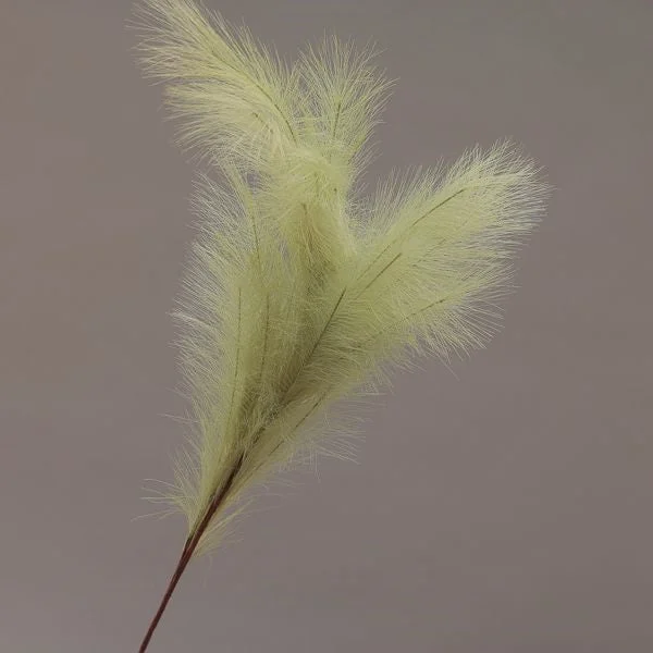 Conti Ramo Pampas 130 Cm Green
